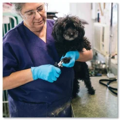 Best 9.5 in. Long 3 mil Powder-Free Nitrile Exam Gloves - Large/Light Blue (1000/Carton) Cleaning & Janitorial Supplies