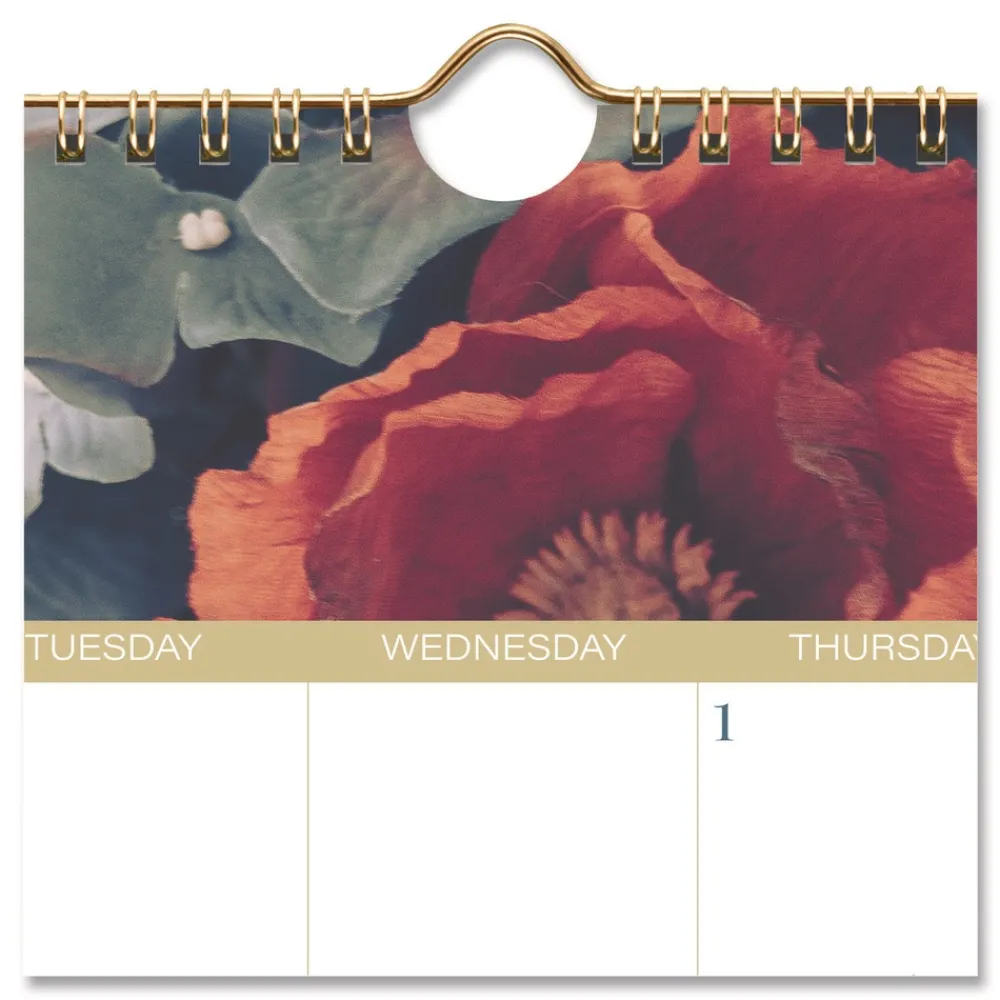 Online 15 in. x 12 in. 12-Month (Jan-Dec): 2026 Midnight Garden Monthly Wall Calendar - Floral Artwork Calendars & Planners