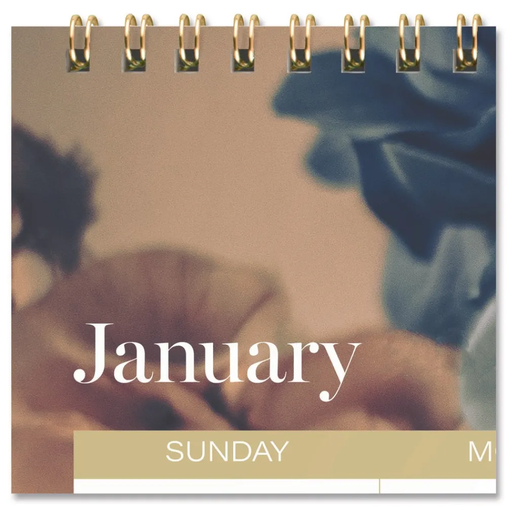 Online 15 in. x 12 in. 12-Month (Jan-Dec): 2026 Midnight Garden Monthly Wall Calendar - Floral Artwork Calendars & Planners