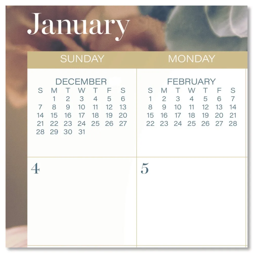 Online 15 in. x 12 in. 12-Month (Jan-Dec): 2026 Midnight Garden Monthly Wall Calendar - Floral Artwork Calendars & Planners