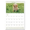 Clearance 12-Month (Jan to Dec): 2026 15.5 in. x 22.75 in. Puppies Photography Puppies Monthly Wall Calendar - White/Multicolor Sheets Calendars & Planners
