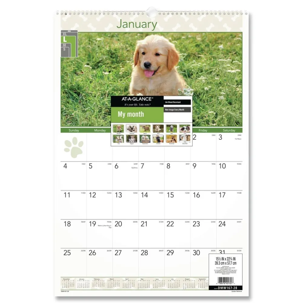 Clearance 12-Month (Jan to Dec): 2026 15.5 in. x 22.75 in. Puppies Photography Puppies Monthly Wall Calendar - White/Multicolor Sheets Calendars & Planners