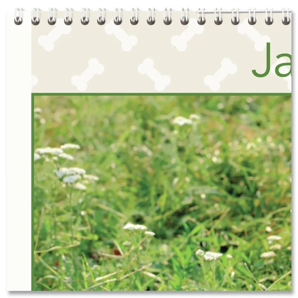 Clearance 12-Month (Jan to Dec): 2026 15.5 in. x 22.75 in. Puppies Photography Puppies Monthly Wall Calendar - White/Multicolor Sheets Calendars & Planners