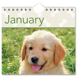 Clearance 12-Month (Jan to Dec): 2026 15.5 in. x 22.75 in. Puppies Photography Puppies Monthly Wall Calendar - White/Multicolor Sheets Calendars & Planners