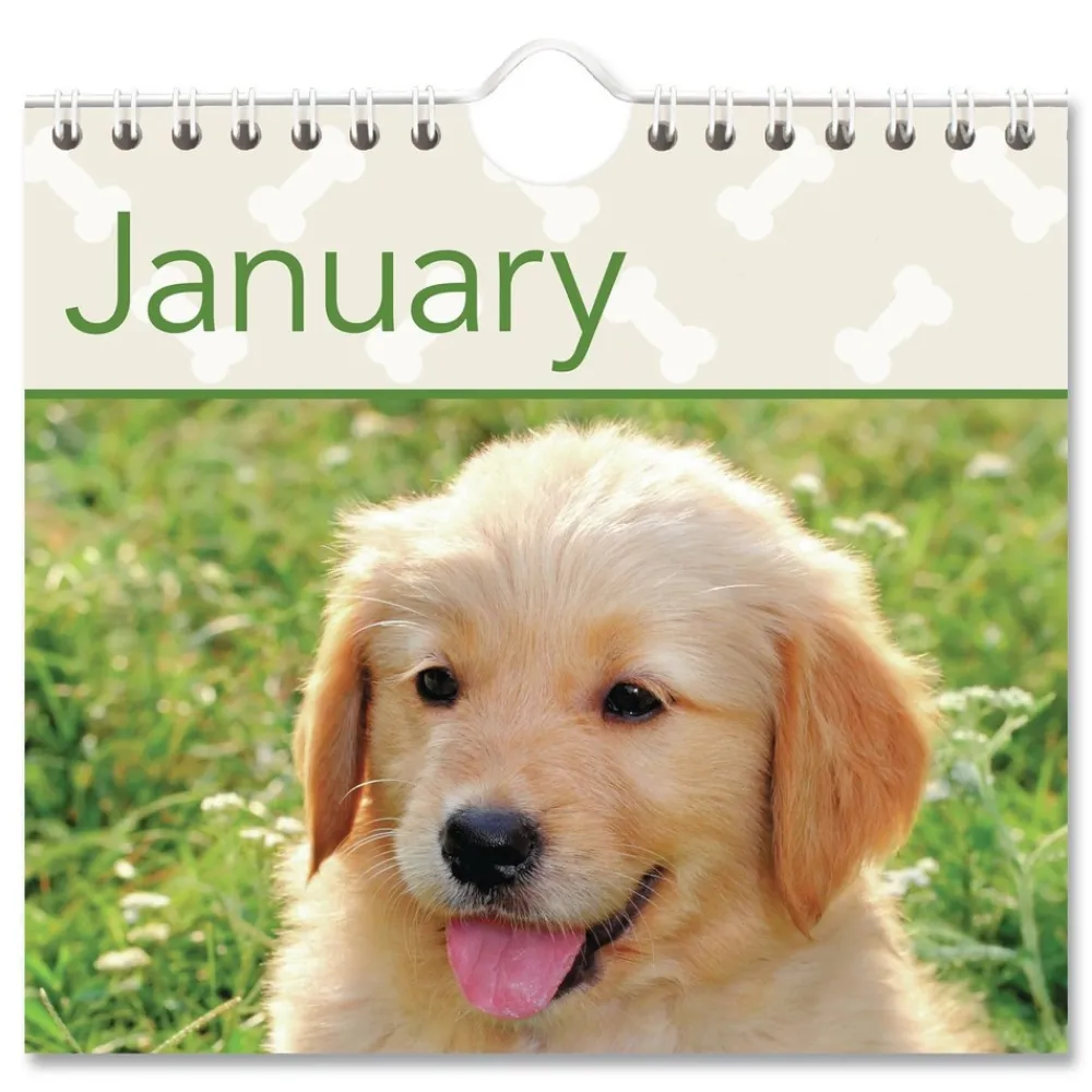 Clearance 12-Month (Jan to Dec): 2026 15.5 in. x 22.75 in. Puppies Photography Puppies Monthly Wall Calendar - White/Multicolor Sheets Calendars & Planners