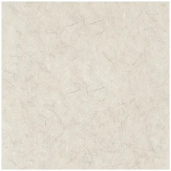 17 in. Diameter Natural Burnishing Floor Pads - White (5/Carton) Cleaning & Janitorial Supplies