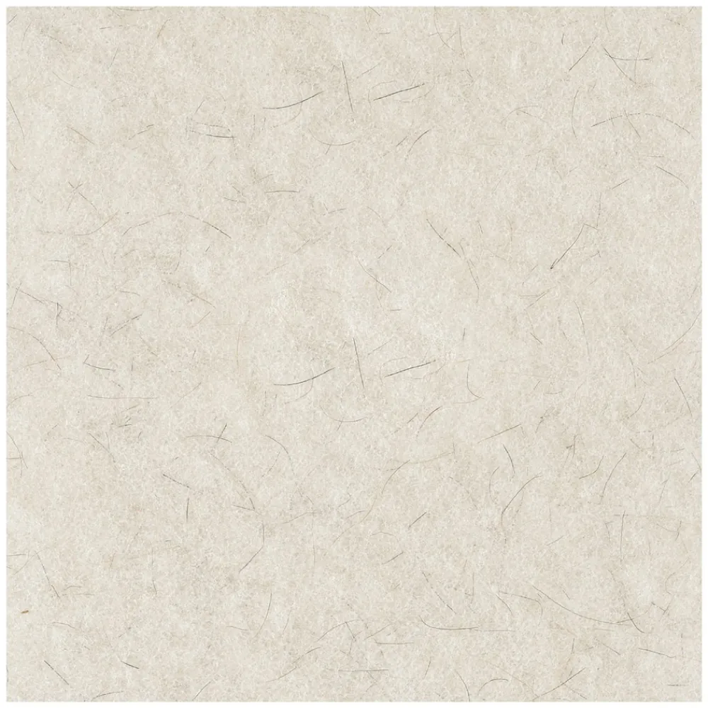 17 in. Diameter Natural Burnishing Floor Pads - White (5/Carton) Cleaning & Janitorial Supplies