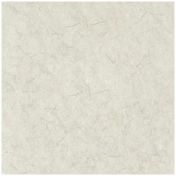 Hot 27 in. Diameter Natural Burnishing Floor Pads - White (5/Carton) Cleaning & Janitorial Supplies