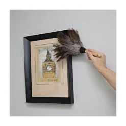 Discount 6 in. Wood Handle Professional Ostrich Feather Duster Cleaning & Janitorial Supplies