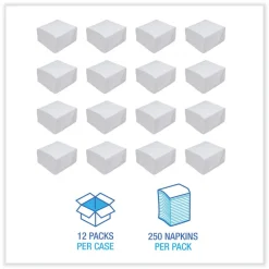 BWK8307 17 in. x 17 in. 1-Ply Dinner Napkin - White (3000/Carton) Paper & Dispensers