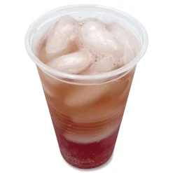 Clearance BWKTRANSCUP20CT 20 oz. Translucent Plastic Cold Cups - Clear (1000/Carton) Tabletop And Serveware