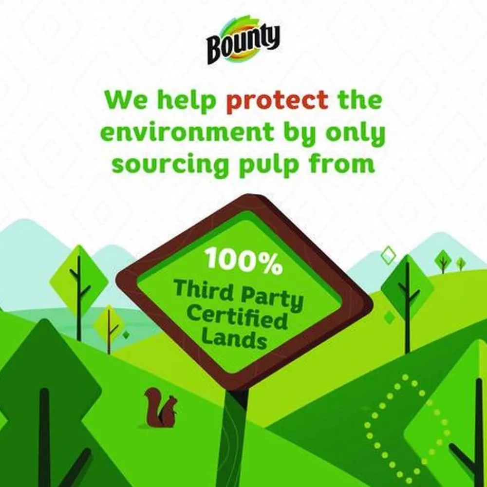 Essentials Select-A-Size 2-Ply Kitchen Roll Paper Towels (1/Carton) Cleaning & Janitorial Supplies