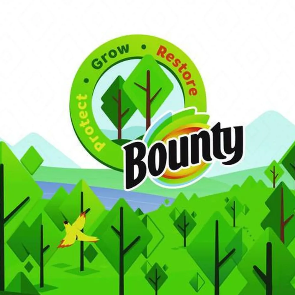 Essentials Select-A-Size 2-Ply Kitchen Roll Paper Towels (1/Carton) Cleaning & Janitorial Supplies