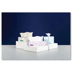 Discount 2-Ply Cube Box Signature Facial Tissue - White (36 Boxes/Carton) Paper & Dispensers