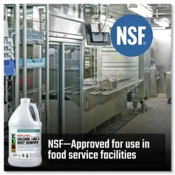 Discount 1 gal. Bottle Calcium Lime and Rust Remover Cleaning & Janitorial Supplies