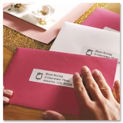 Clearance 30572 LabelWriter 1.12 in. x 3.5 in. Address Labels - White (520/Pack) Labels & Label Makers