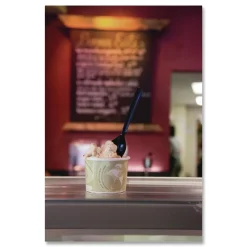 Best EP-S113 6 in. 100 Percent Recycled Content Spoon - Black (1000/Carton) Tabletop And Serveware