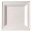 Online Vanguard 7.87 in. x 7.87 in. Renewable and Compostable Sugarcane Plates - White (500/Carton) Tabletop And Serveware
