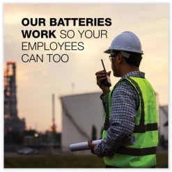 Online MAX 1.5 Volts AA Alkaline Batteries (4/Pack) Office Electronics & Batteries