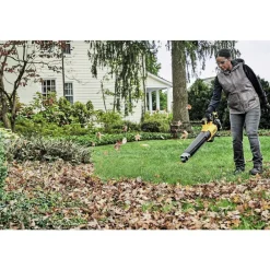 Factory Reconditioned 20V MAX XR Brushless Lithium-Ion Cordless Handheld Blower (Tool Only) Leaf Blowers