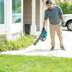 Online Factory Reconditioned 18V X2 (36V) LXT Brushless Lithium-Ion Cordless Blower Kit with 2 Batteries (5 Ah) Leaf Blowers