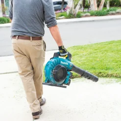 Online Factory Reconditioned 18V X2 (36V) LXT Brushless Lithium-Ion Cordless Blower Kit with 2 Batteries (5 Ah) Leaf Blowers