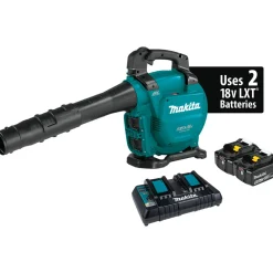 Online Factory Reconditioned 18V X2 (36V) LXT Brushless Lithium-Ion Cordless Blower Kit with 2 Batteries (5 Ah) Leaf Blowers