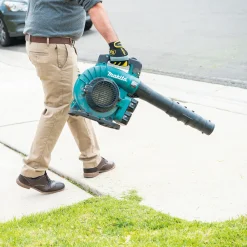 Online Factory Reconditioned 18V X2 (36V) LXT Brushless Lithium-Ion Cordless Blower Kit with 2 Batteries (5 Ah) Leaf Blowers