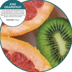 Hot OFB-F-008I008I-09 ourfresh Airfreshener - Kiwi Grapefruit (8/Box) Cleaning & Janitorial Supplies