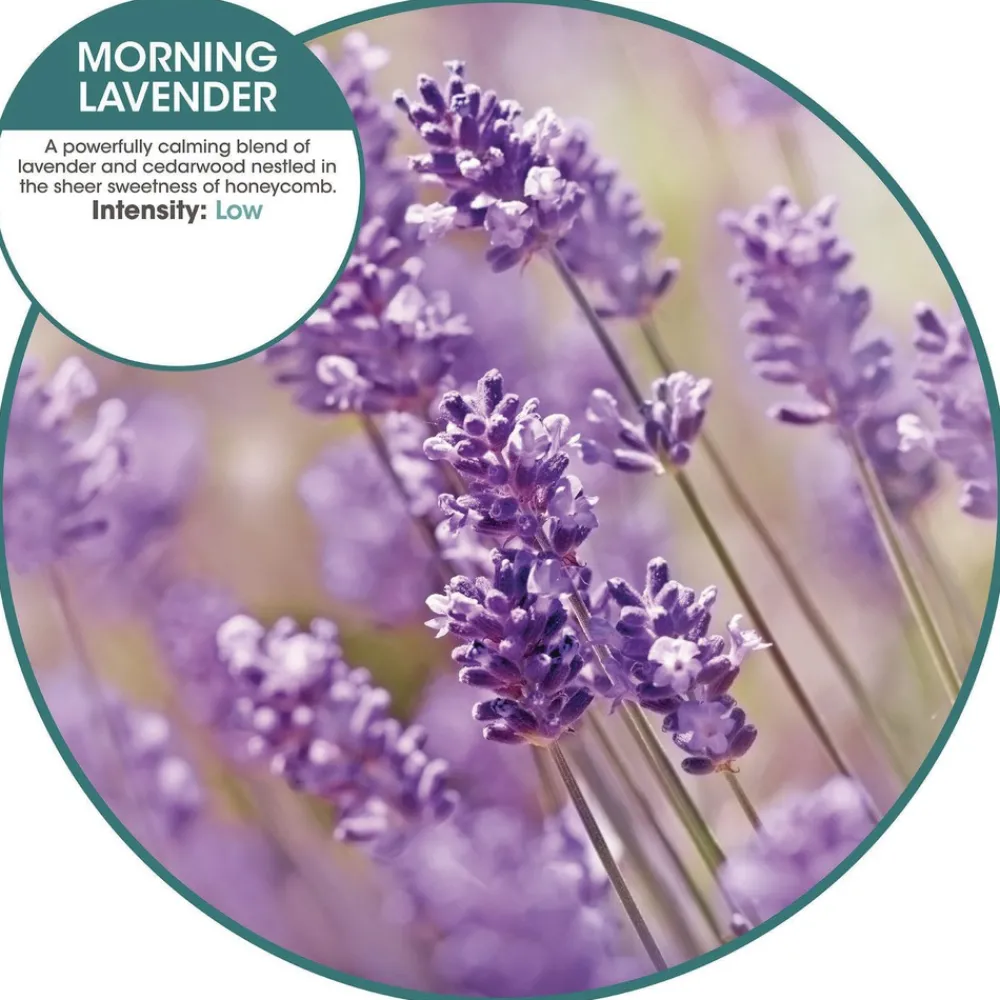 Hot OFENB-F-006I036M-78 ourfreshE Refills - Morning Lavender (6/Box) Cleaning & Janitorial Supplies