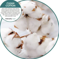 Discount OFENB-F-006I036M-06 ourfreshE Refills - Cotton Blossom (6/Box) Cleaning & Janitorial Supplies