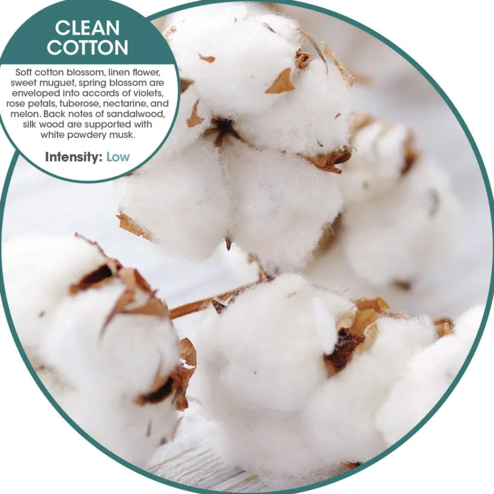 Discount OFENB-F-006I036M-06 ourfreshE Refills - Cotton Blossom (6/Box) Cleaning & Janitorial Supplies