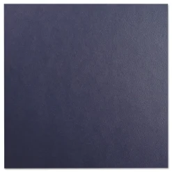 New 11.25 in. x 8.75 in. Leather-Look Unpunched Presentation Covers for Binding Systems - Navy (100 Sets/Box) Binders & Binding Supplies