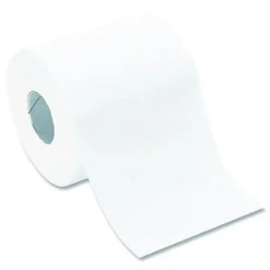 Hot 2 Ply Bath Tissue - White (96/Carton) Cleaning & Janitorial Supplies