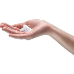 Online 2000 mL Fragrance-Free E2 Foam Handwash Refill with PCMX for FMX-20 Dispensers (2/Carton) Skin Care & Personal Hygiene