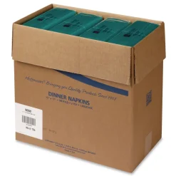 Dinner Napkins 2-Ply 15 x 17 Teal (1000/Carton) Paper & Dispensers