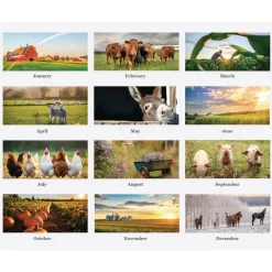 Hot 11 in. x 14 in. 12-Month (Jan-Dec 2026) 100 Percent Recycled Farm Life Wall Calendar - White/Multicolor Sheets Calendars & Planners
