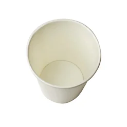 Best C-KCP9W 9 oz. Double Poly Paper Cold Cups - White (1000/Carton) Tabletop And Serveware