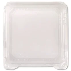 New Polypropylene Plastic Hinged Container 6 x 6 x 3.3 Clear Plastic 50/Pack 6 Packs/Carton Tabletop And Serveware