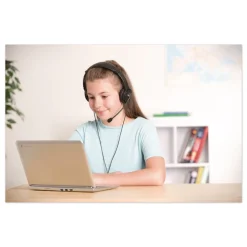 New Hi-Fi Headphones with Microphone - Black Office Electronics & Batteries