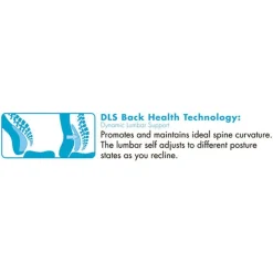 Clearance Commercial 2000 Big/tall Executive Chair, Lumbar, Supports 400 Lb, 20.25-in To 23.25-in Seat Height, Black Seat/back, Silver Base Office Furniture & Lighting