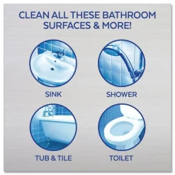 Clearance 32 oz. Spray Bottle Mold and Mildew Remover with Bleach (12/Carton) Cleaning & Janitorial Supplies