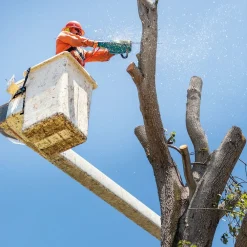 40V max XGT Brushless Lithium-Ion 18 in. Cordless Chain Saw Kit (5.0Ah) Chainsaws