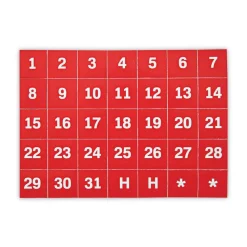 Outlet 1 in. x 1 in. Calendar Dates Interchangeable Magnetic Board Accessories - Red/White (35/Pack) Office Presentation Supplies