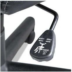 Sale Executive Swivel/Tilt Chair (Fixed T-Bar Arms/ Black) Office Furniture & Lighting