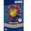 Best 9 in. x 12 in. 76 lbs. Text Weight Tru-Ray Construction Paper - White (50 Packs/Carton) Paper & Printables