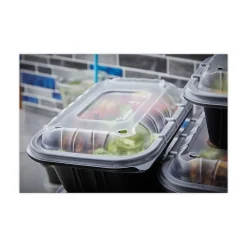 Discount EarthChoice Entree2Go 11.75 in. x 8.75 in. x 2.13 in. 64 oz. Plastic Takeout Container - Black (200/Carton) Tabletop And Serveware