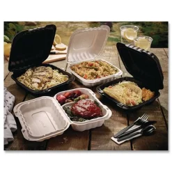 Clearance YCN806000000 EarthChoice SmartLock 6 in. x 6 in. x 3.1 in. Microwaveable MFPP Hinged Lid Containers - White (400/Carton) Tabletop And Serveware