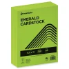 Hot 8.5 in. x 11 in. 65 lbs. Text Weight Color Cardstock - Emerald Green (1-Ream) Cleaning & Janitorial Supplies
