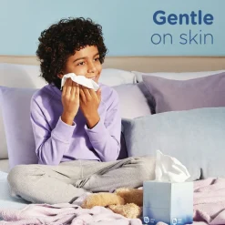 Ultra Soft 2-Ply Facial Tissue - White (24/Carton) Cleaning & Janitorial Supplies